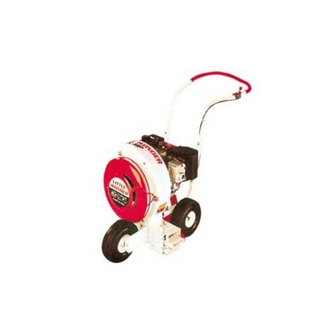 Image: Little Wonder Pavement Blower