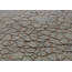 5 Gallon Big A Alligator Asphalt Repair Patch For Sale ...